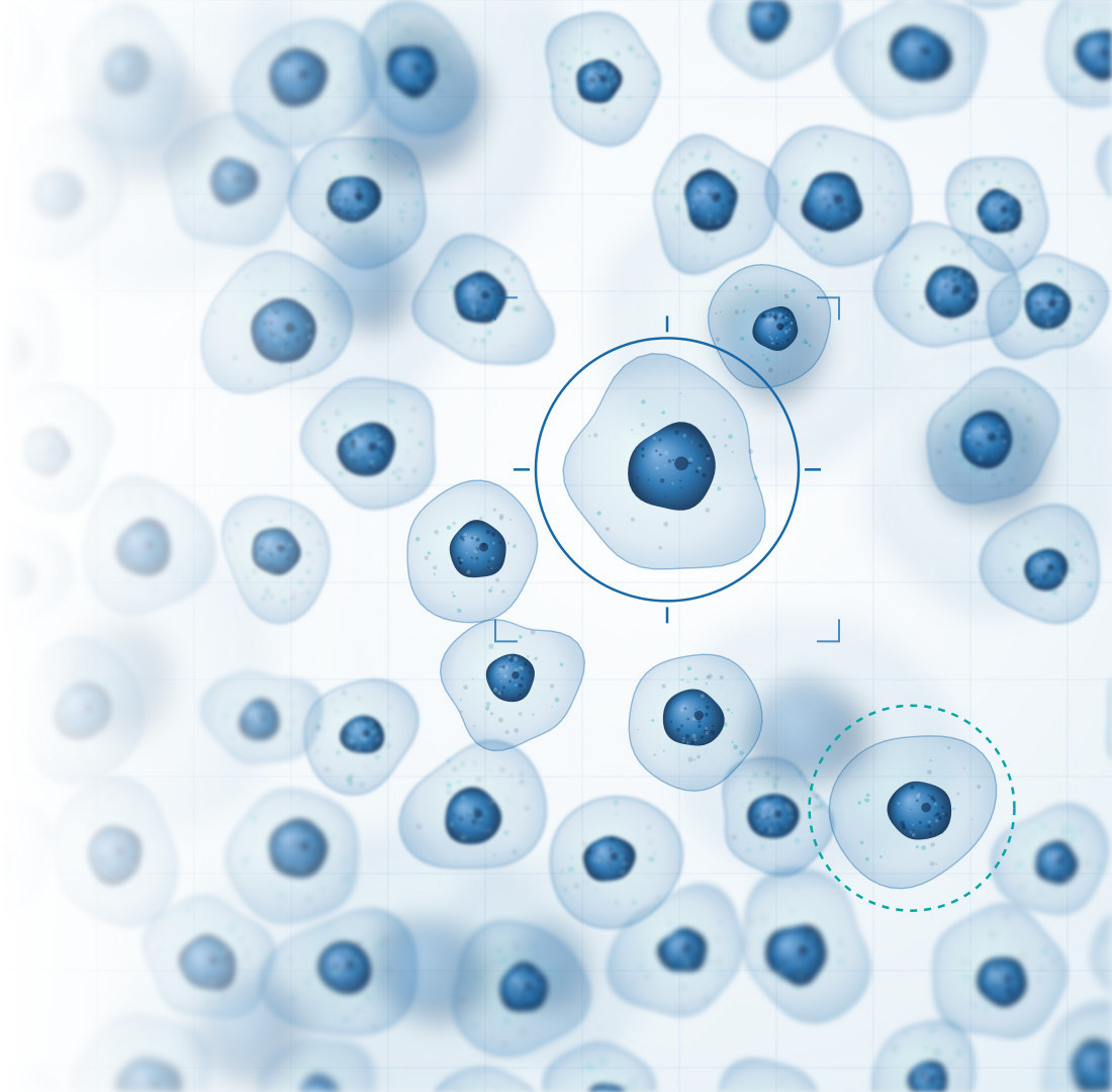 Illustrative visualisation of cells under imaging, with one cell highlighted for assessment